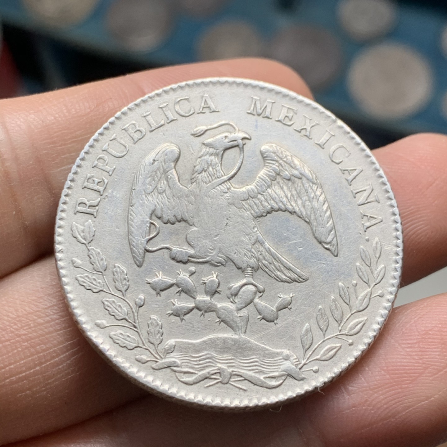 《竞宝斋》第37场-周日 首场自动拍卖 2件或者满200包顺丰 墨西哥1883年Zs 花边鹰洋8R 大银币 有细划