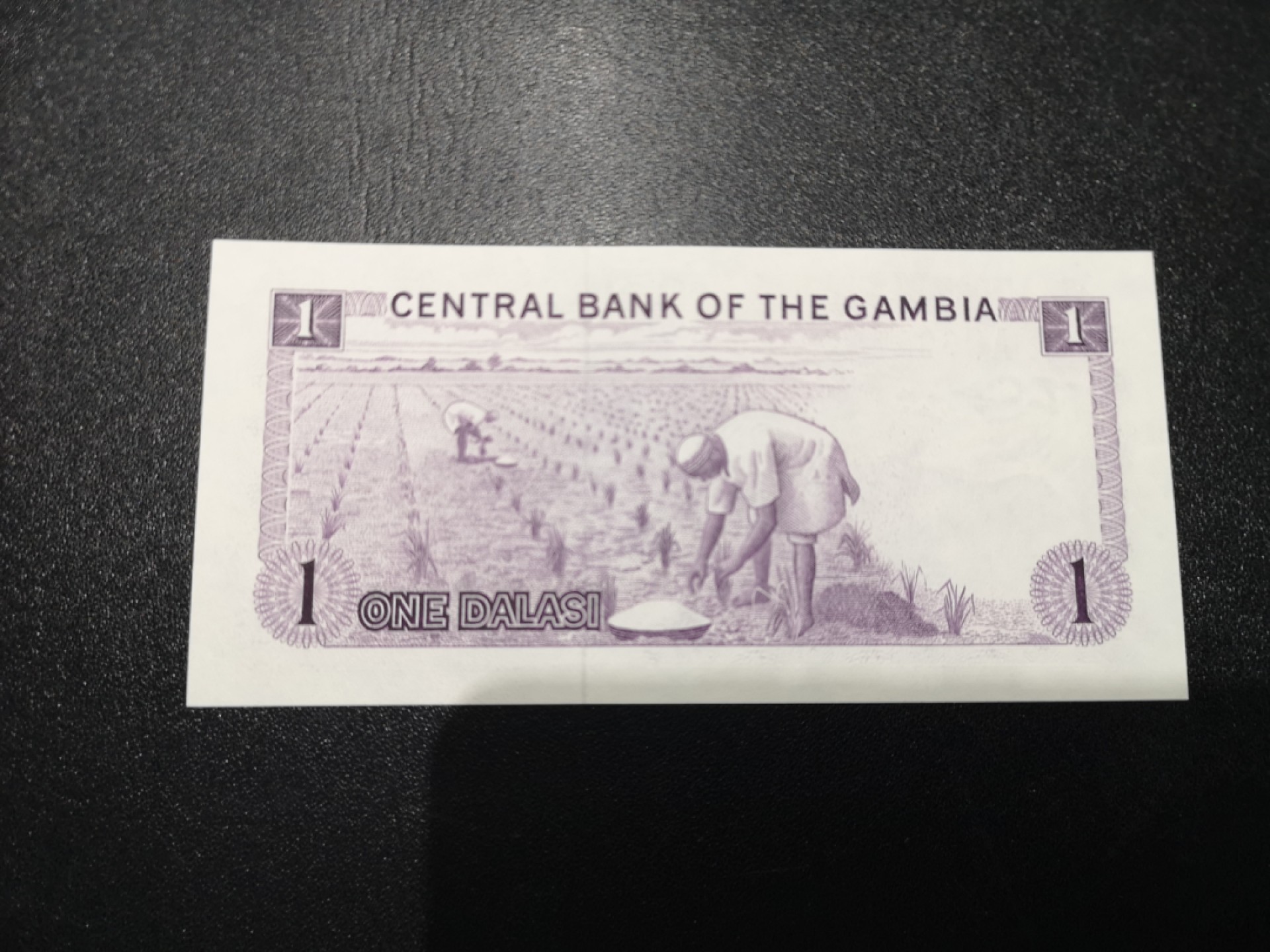 《外钞收藏家》第一百六十九期拍卖（本期65件） 1971-87年冈比亚1达拉西 全新UNC