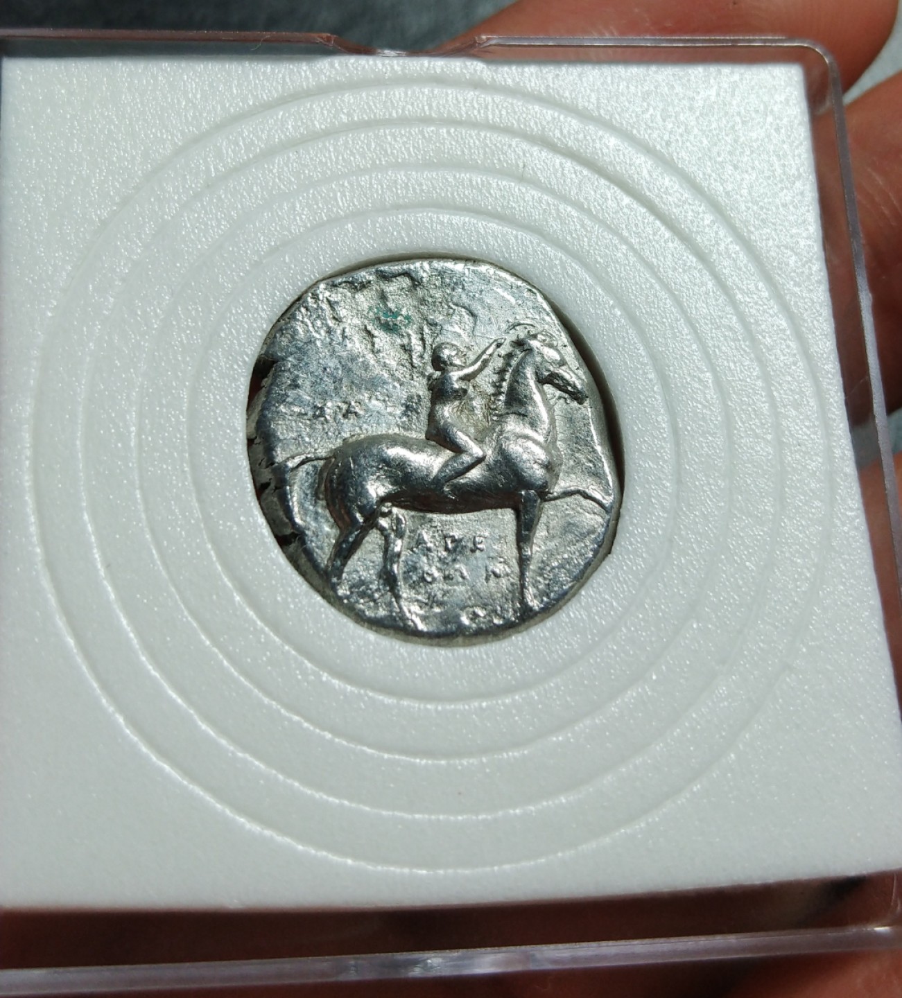 【古希腊币】塔兰托城海豚少年银币斯塔特银币诺姆斯银币