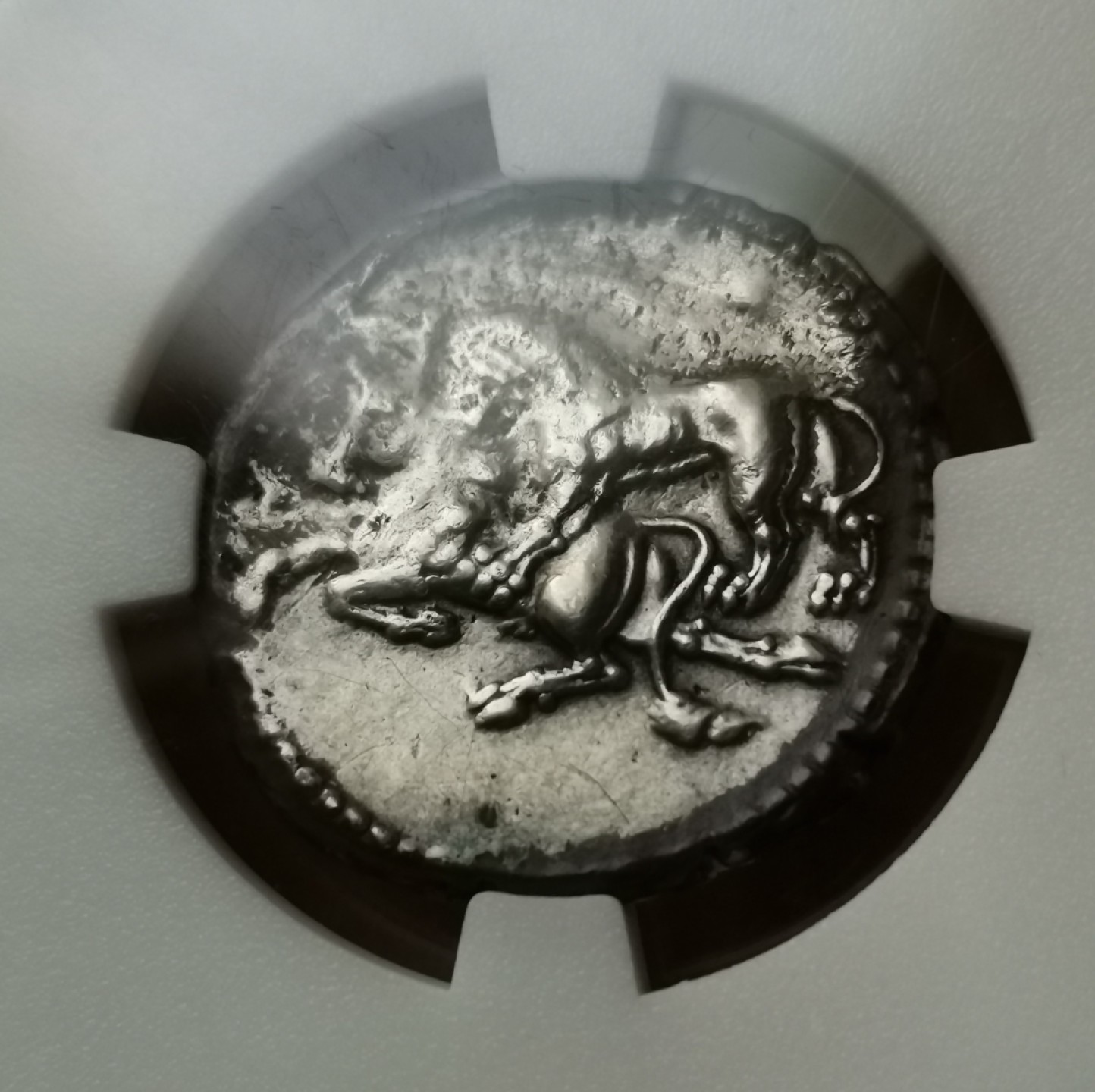 瓶子🏺第28期拍卖会 古希腊公元前350年西里西亚狮子咬牛银币（稀少品种）