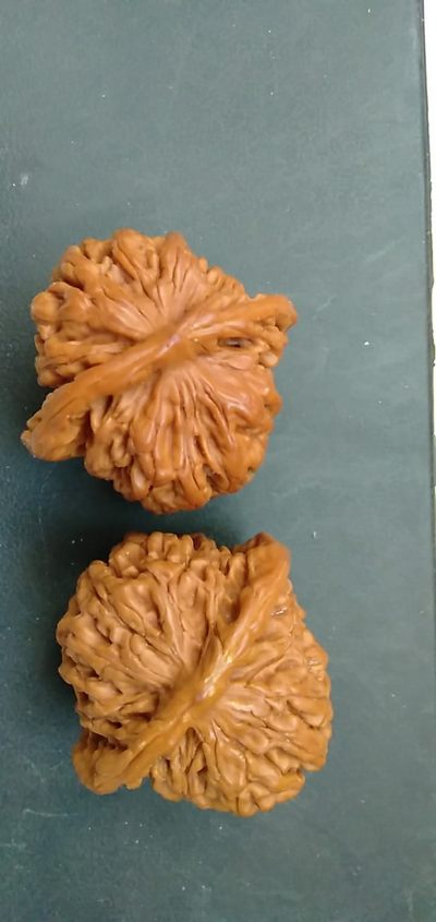 文玩核桃，尺寸42(17) - 文玩核桃，尺寸42(17)