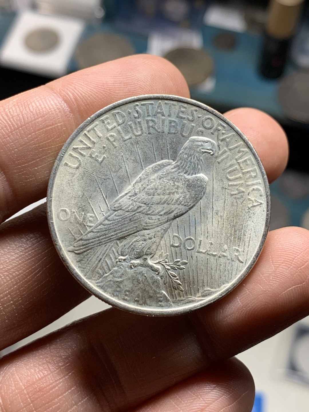 《竞宝斋》第38场-本周一 （全场顺丰包邮） 美国 1923年 和平鸽大银币 品相细节很好