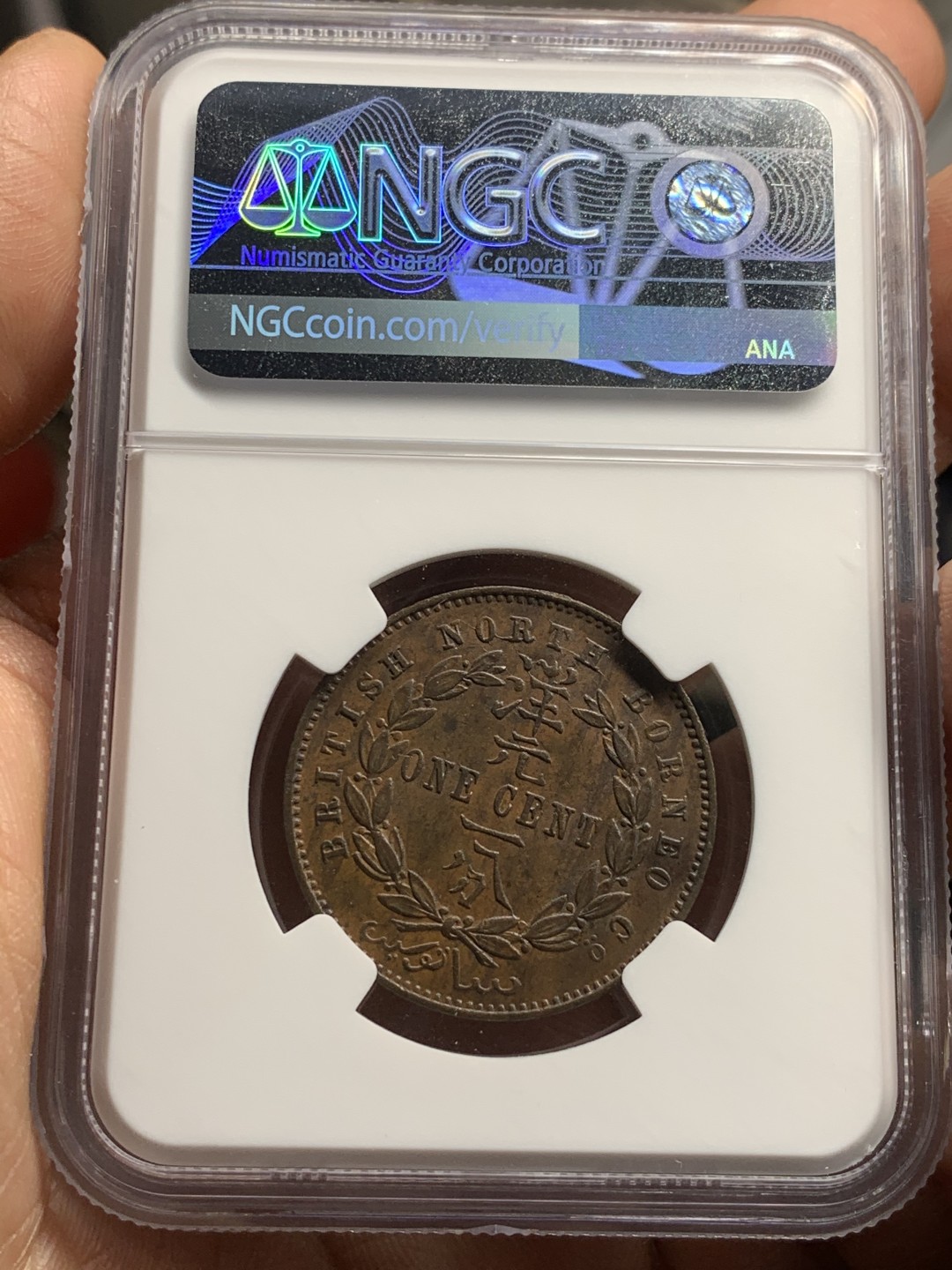 《竞宝斋》第38场-本周一 （全场顺丰包邮） NGC-UNC 英属北婆罗洲1884H洋元一分 高点具在 巧克力包浆