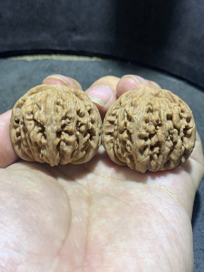 天然山地楼，四座楼狮子头文玩核桃涞水麻核桃一对， - 天然山地楼，四座楼狮子头文玩核桃涞水麻核桃一对，
