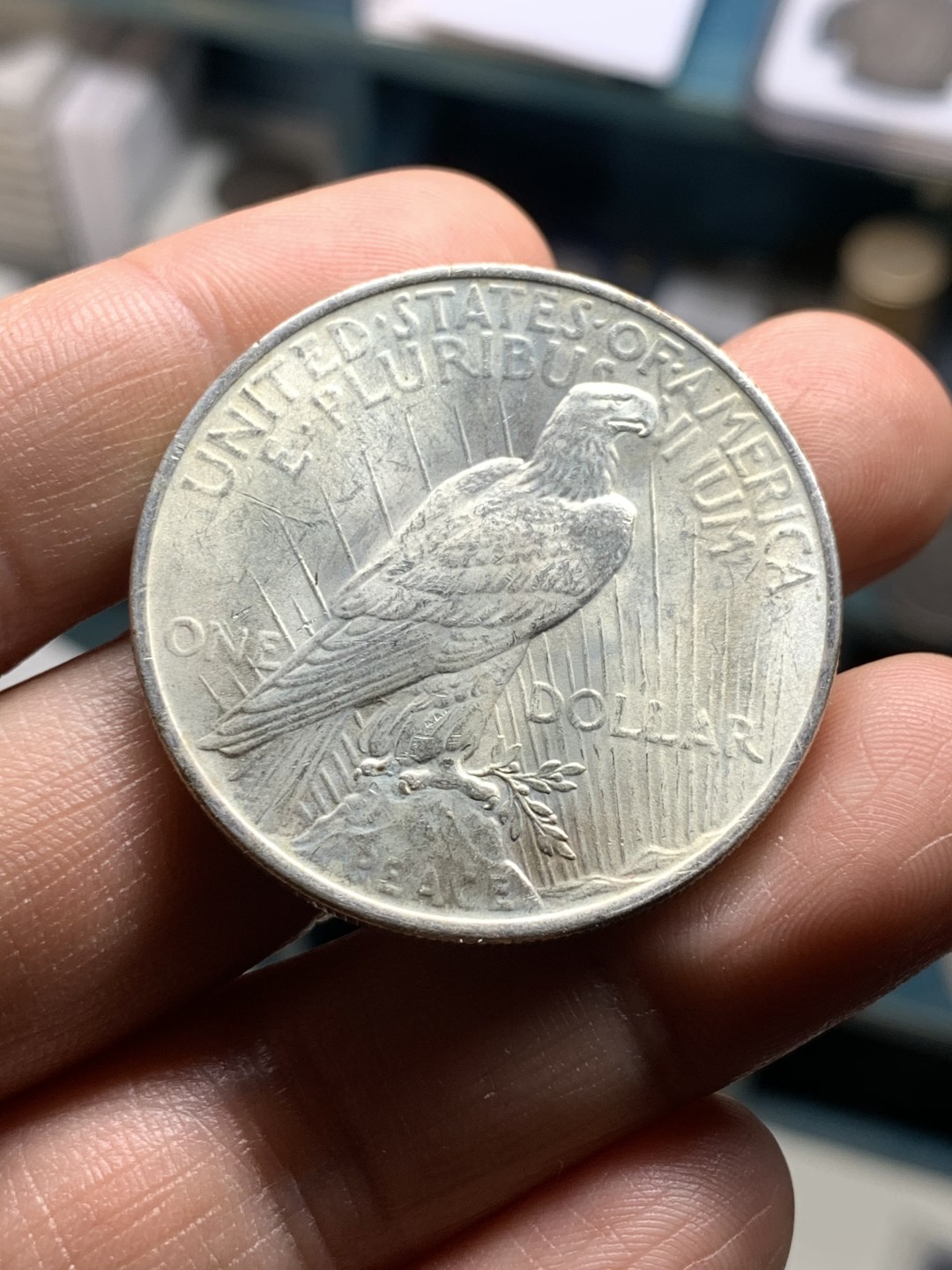 《竞宝斋》第38场-本周一 （全场顺丰包邮） 美国 1923年 和平鸽大银币 品相细节很好