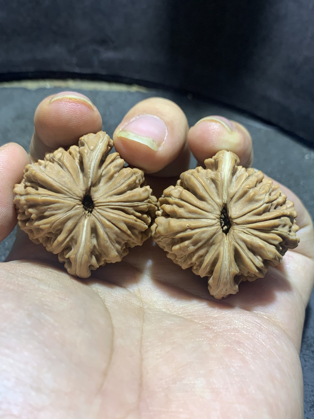 天然山地楼，四座楼狮子头文玩核桃涞水麻核桃一对，