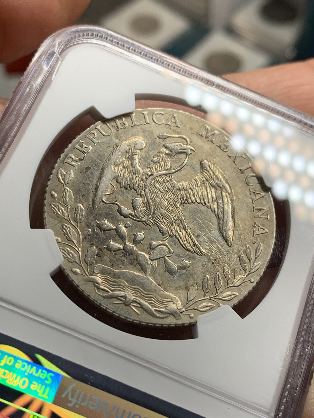 《竞宝斋》第38场-本周一 （全场顺丰包邮） NGC-AUD 1890 墨西哥鹰洋 8 里亚尔 墨西哥城厂  原味淡光 