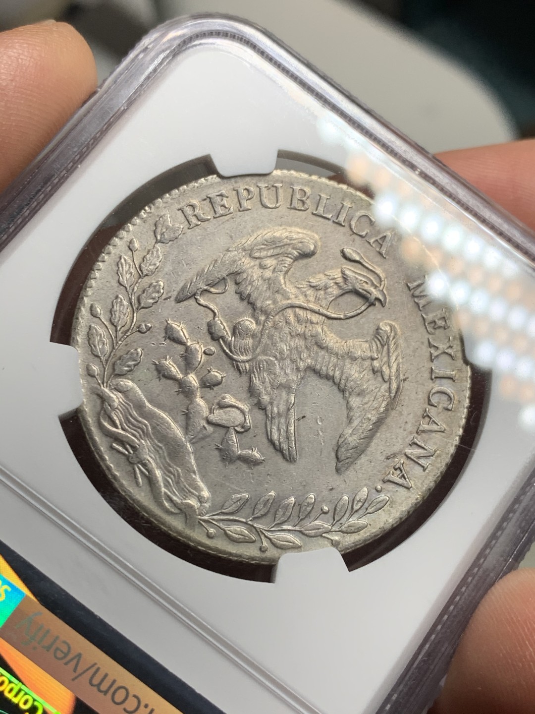 《竞宝斋》第38场-本周一 （全场顺丰包邮） NGC-AU级 墨西哥1896年 墨西哥8R鹰洋 原味淡彩 全羽状态