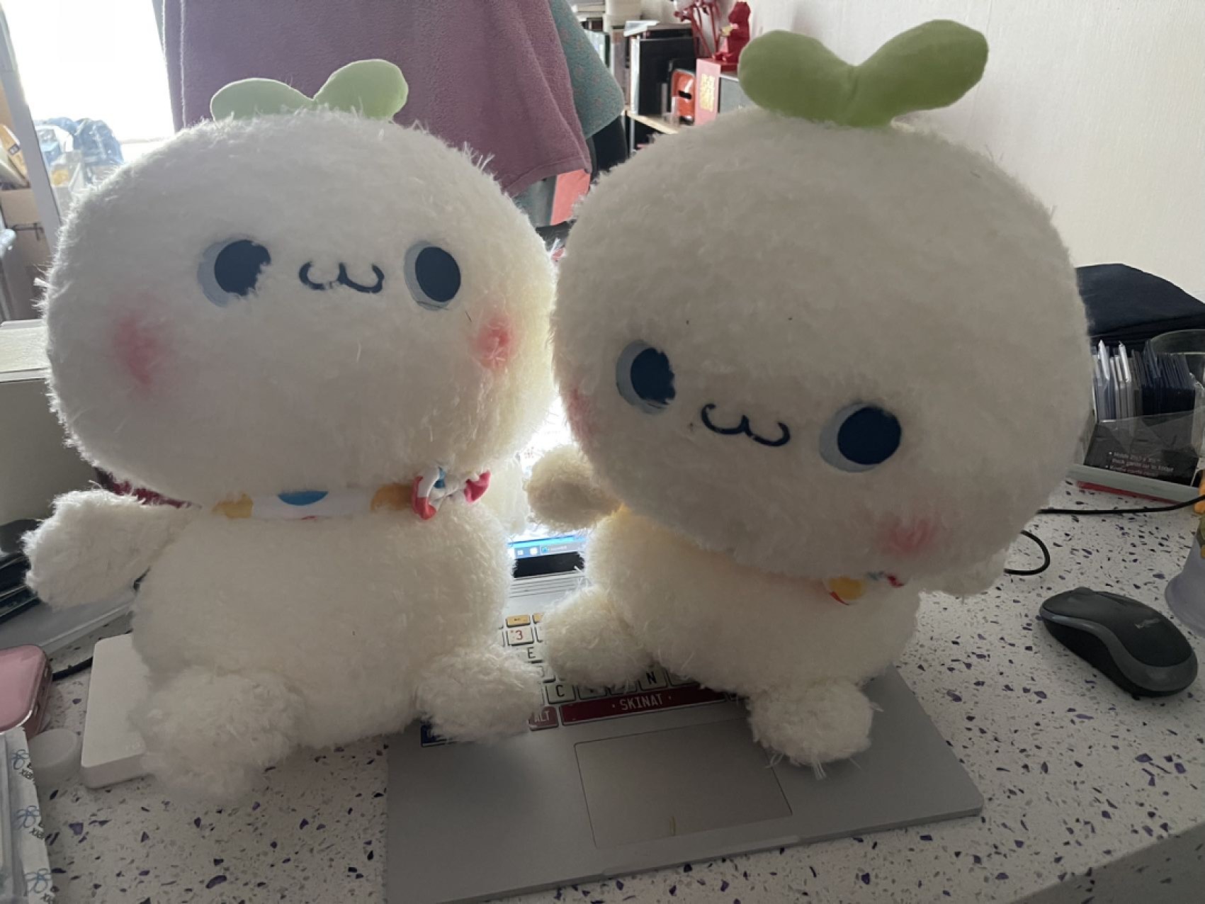 零元拍：夹机占正品长草颜团子全新布偶一对 附原装袋子 非常大只可爱 手感超好 全新正品 送女友送小朋友都是好选择