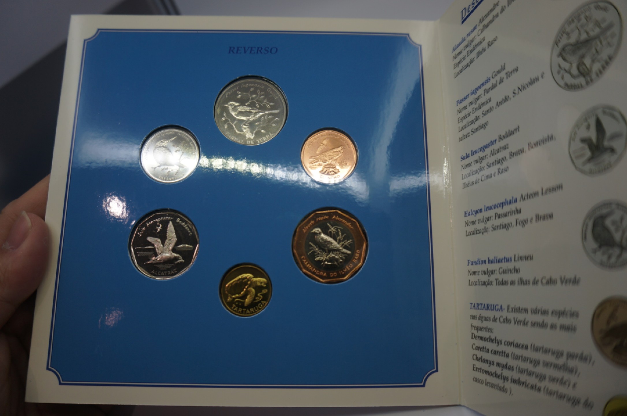 乐游外币首个限时专场—各国精装套币 1994佛得角6枚精装套币鸟版