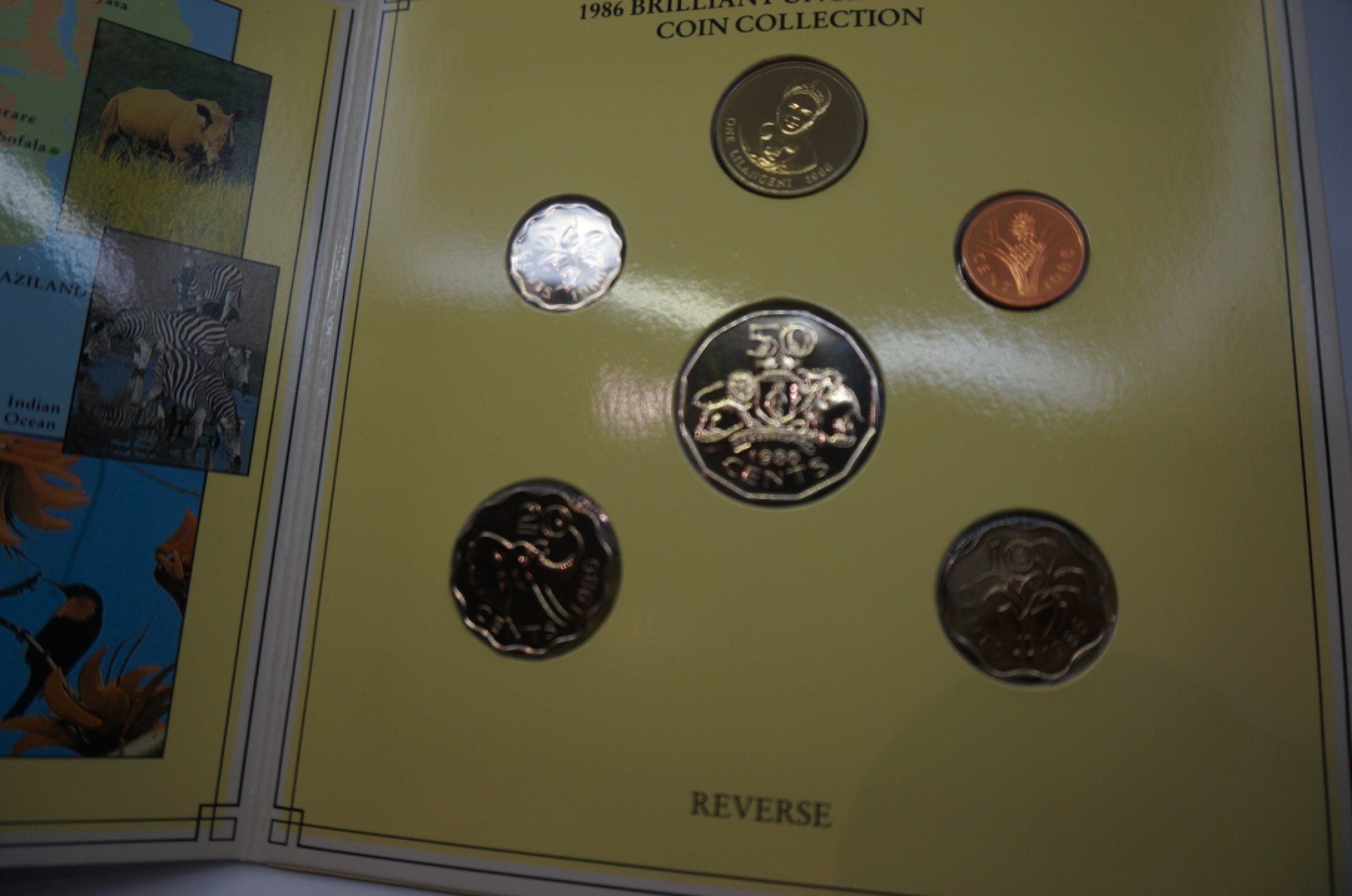 乐游外币首个限时专场—各国精装套币 1986斯威士兰6枚精装套币