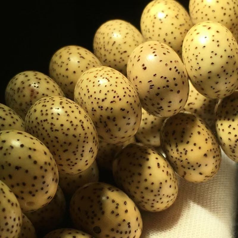 黄金籽星月菩提9mm108陈籽高密星月菩提佛珠 风化籽鸡油黄 算盘 玄月