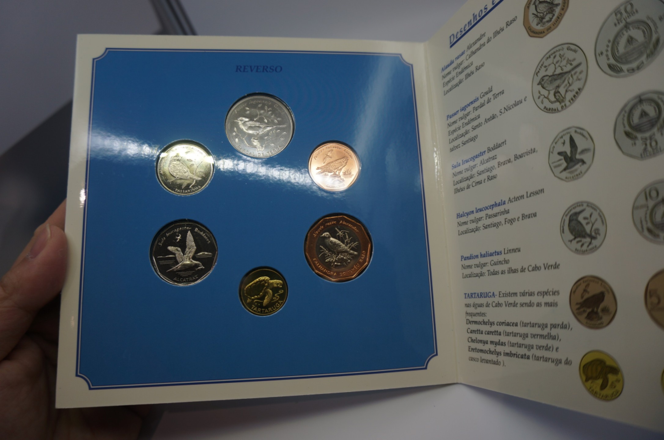 乐游外币首个限时专场—各国精装套币 1994佛得角6枚精装套币鸟版