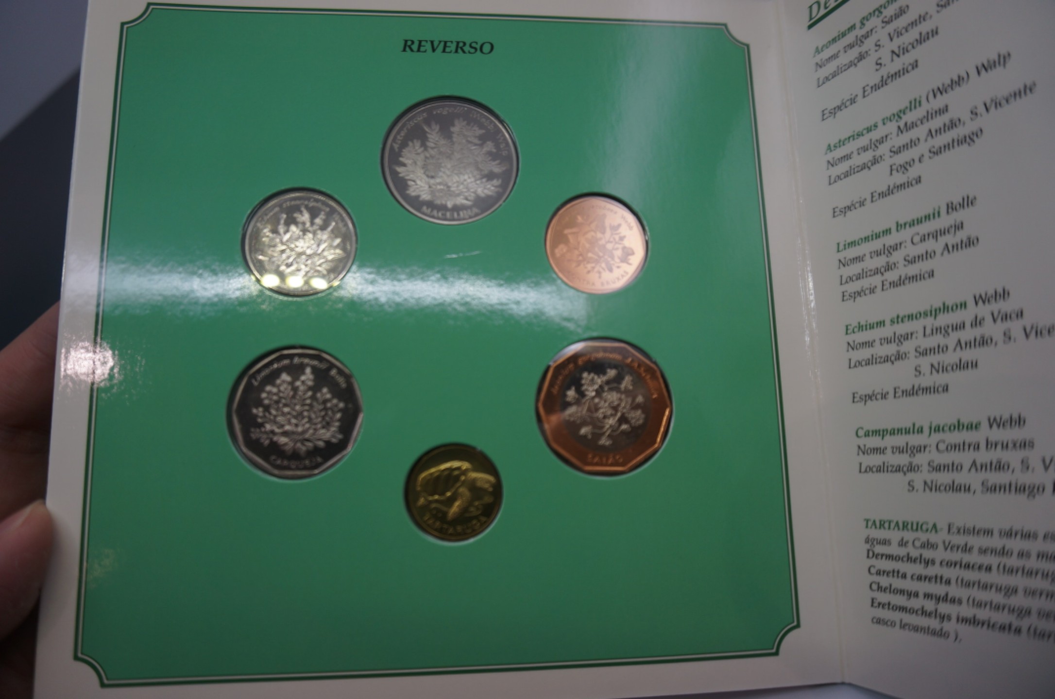 乐游外币首个限时专场—各国精装套币 1994佛得角6枚精装套币花版