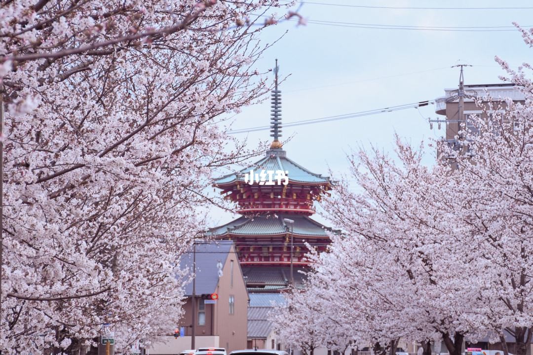 瓶子🏺第29期拍卖会 日本昭和丰川稻荷神社丰川福宝祈福花钱