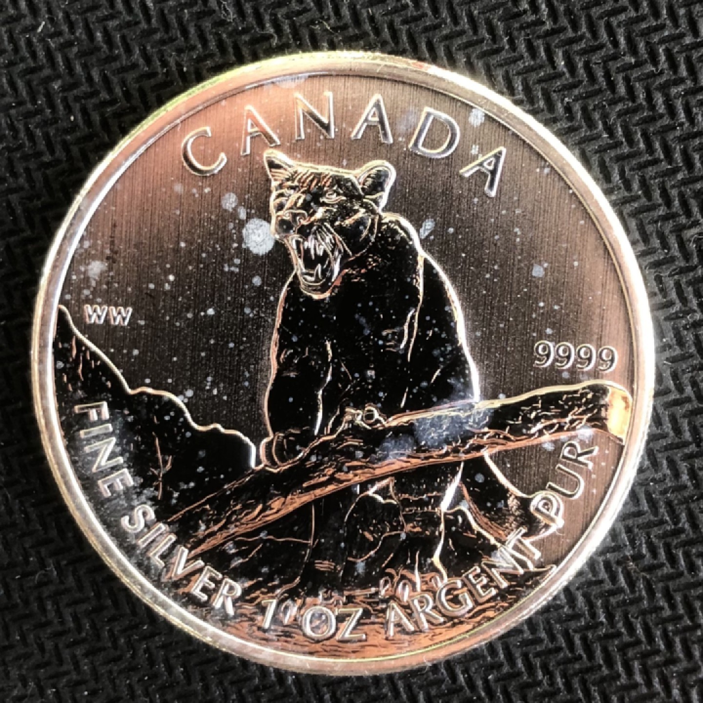 【保诚微拍】【自动拍卖、全场包邮】第19期 $ 硬币专场 $ 【投资银币】加拿大 2012年 野生动物-美洲狮 投资银币（1盎司31.1克，0.9999银）