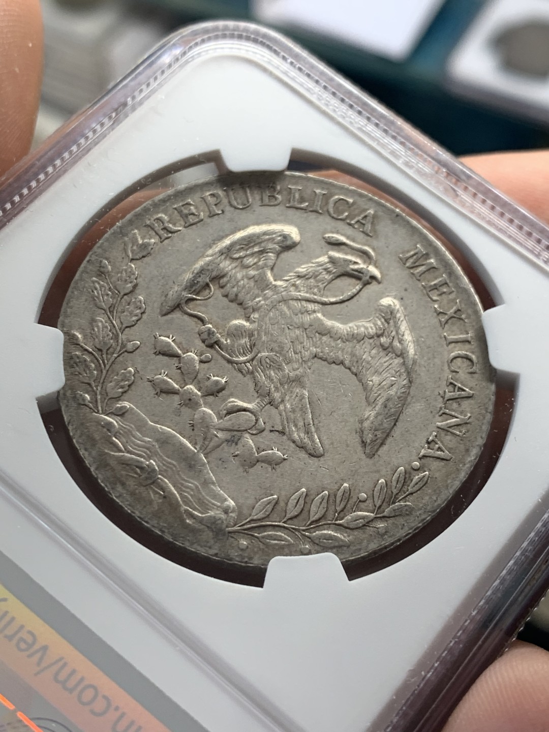 《竞宝斋》第39，40场-本周日，周一2场连拍（全场顺丰包邮） NGC-AU53  1891 墨西哥鹰洋 8 里亚尔 阿拉莫斯厂  原味难得