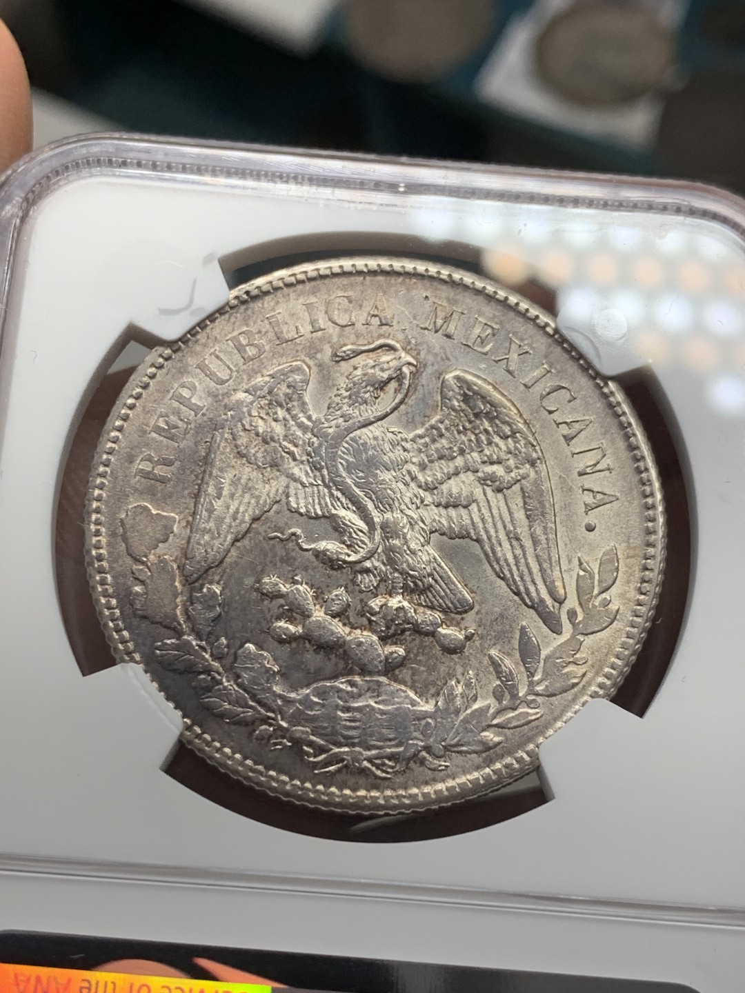 《竞宝斋》第39，40场-本周日，周一2场连拍（全场顺丰包邮） NGC-MS61 墨西哥 1899年ZS 直边鹰洋 1比索 大银币 原光好品 爆羽