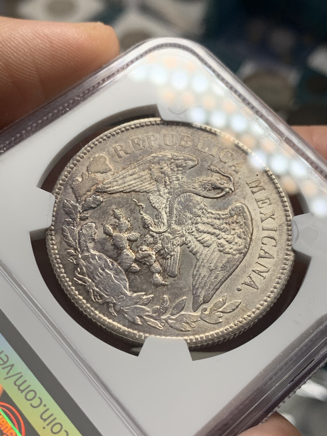 《竞宝斋》第39，40场-本周日，周一2场连拍（全场顺丰包邮） NGC-MS61 墨西哥 1899年ZS 直边鹰洋 1比索 大银币 原光好品 爆羽