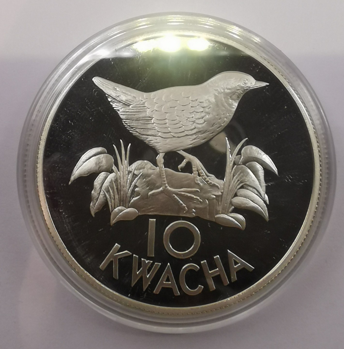 乐游外币首场自动拍卖—各国动物及世界杯足球币 1986赞比亚10克瓦查精制银币WWF