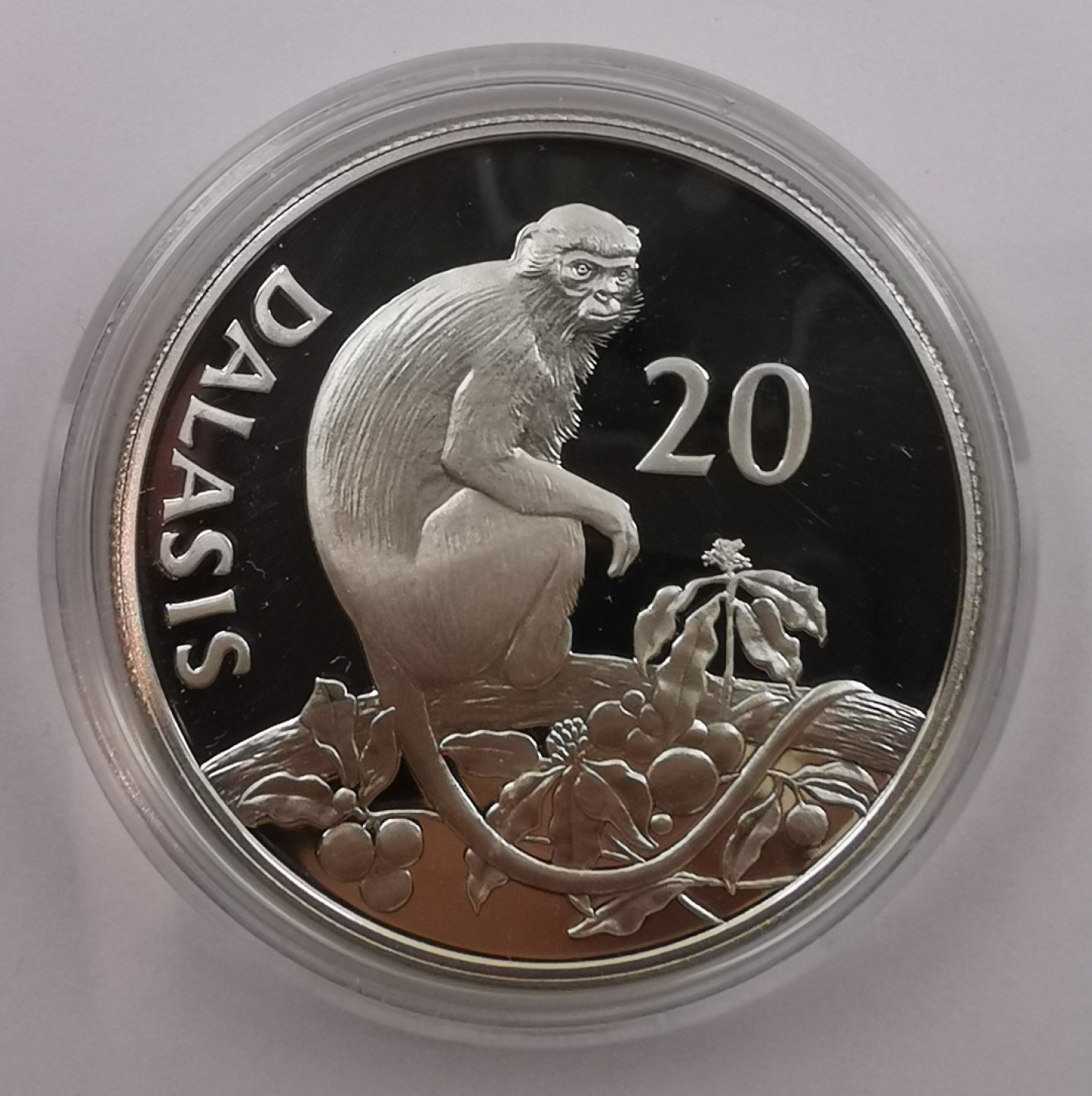 乐游外币首场自动拍卖—各国动物及世界杯足球币 1987冈比亚20达拉西精制银币WWF
