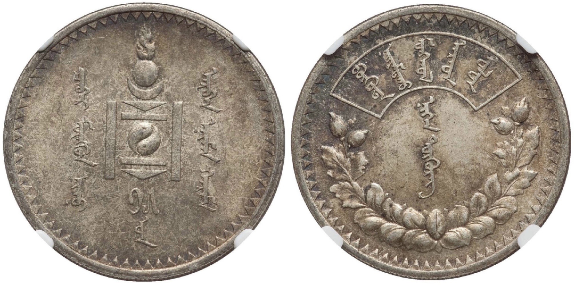 Hunter Family Auction 猎人拍卖第1期 NGC MS62 蒙古 1925年 图格里克  原味五彩老包浆 铸打深峻 状态味道俱佳