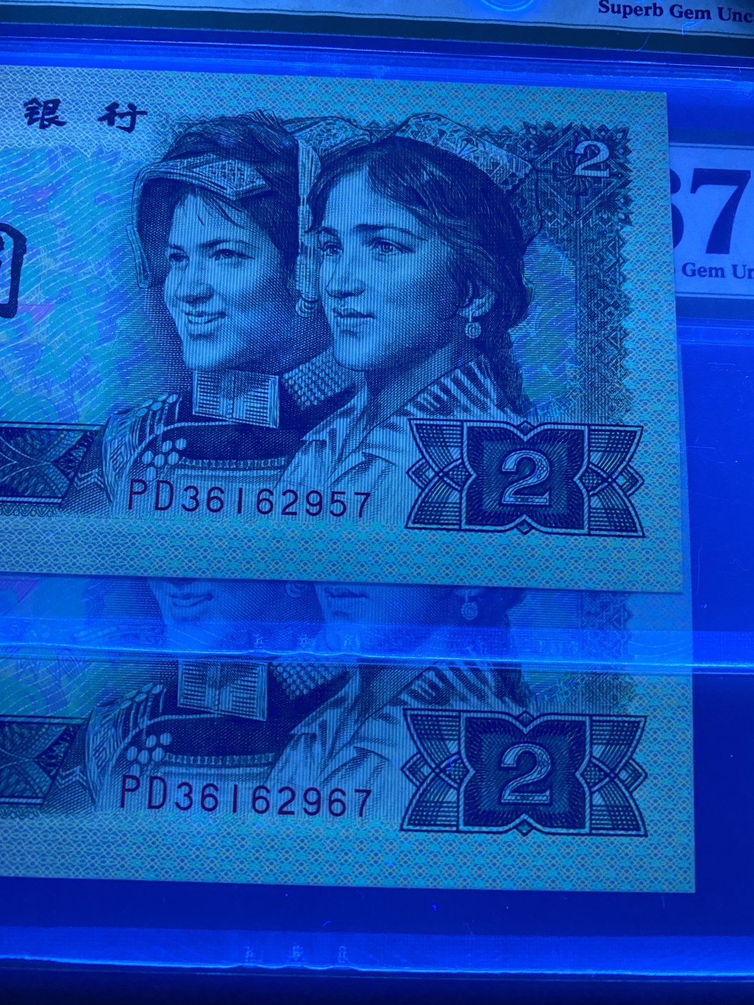 大黄蜂拍卖第53期 902绿幽灵强荧光网格PD36162957，967，67分2张