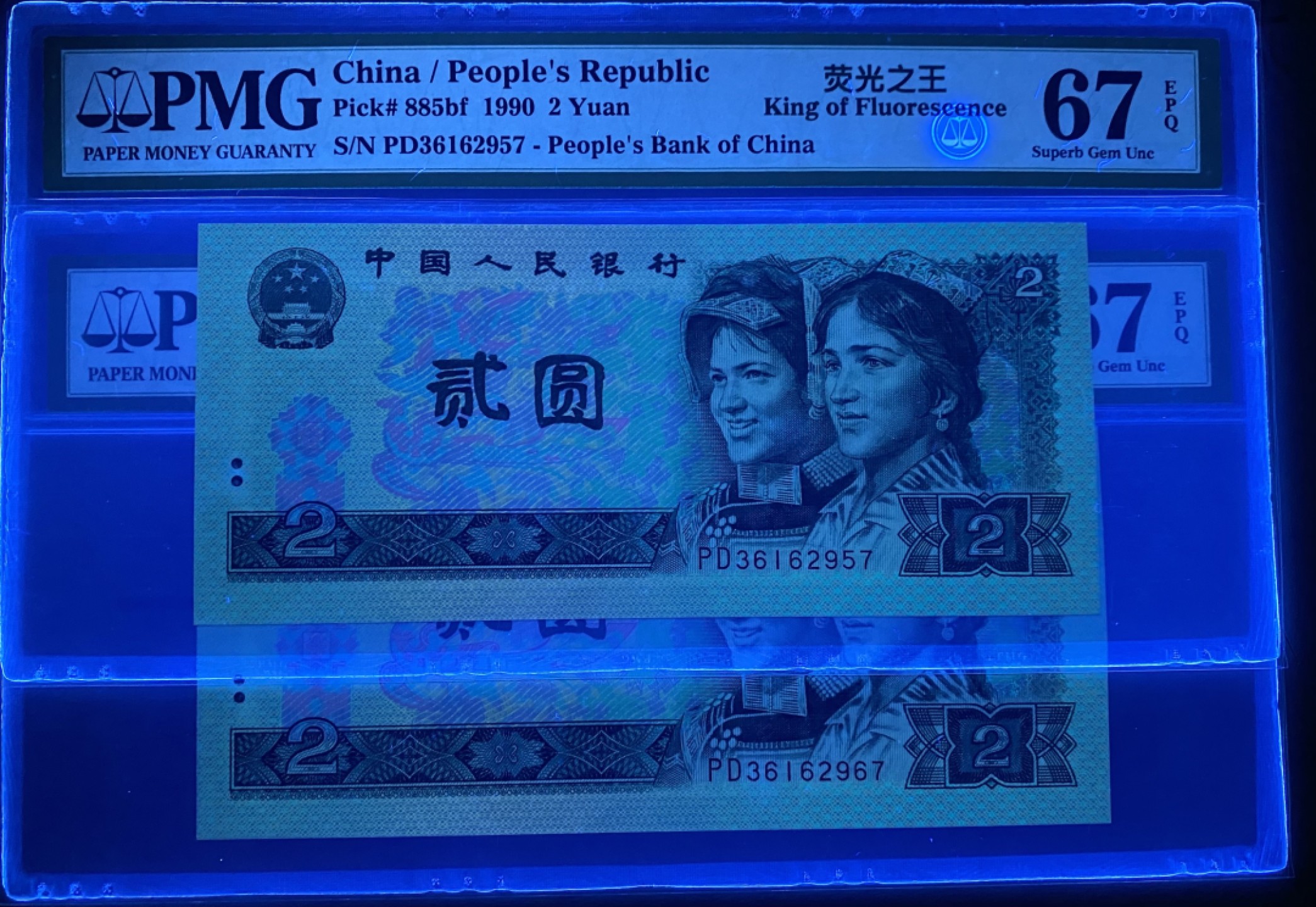 大黄蜂拍卖第53期 902绿幽灵强荧光网格PD36162957，967，67分2张