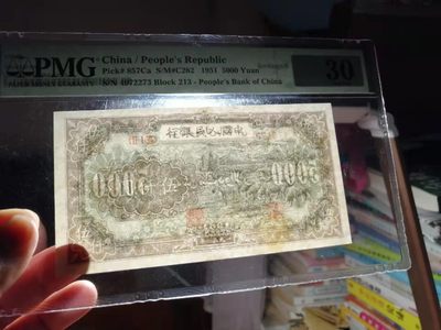 一版牧羊5000元PMG30 213-4972273