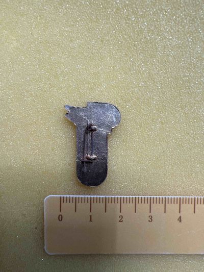 斗私批修、文革时期像章 斗私批修、文革时期像章