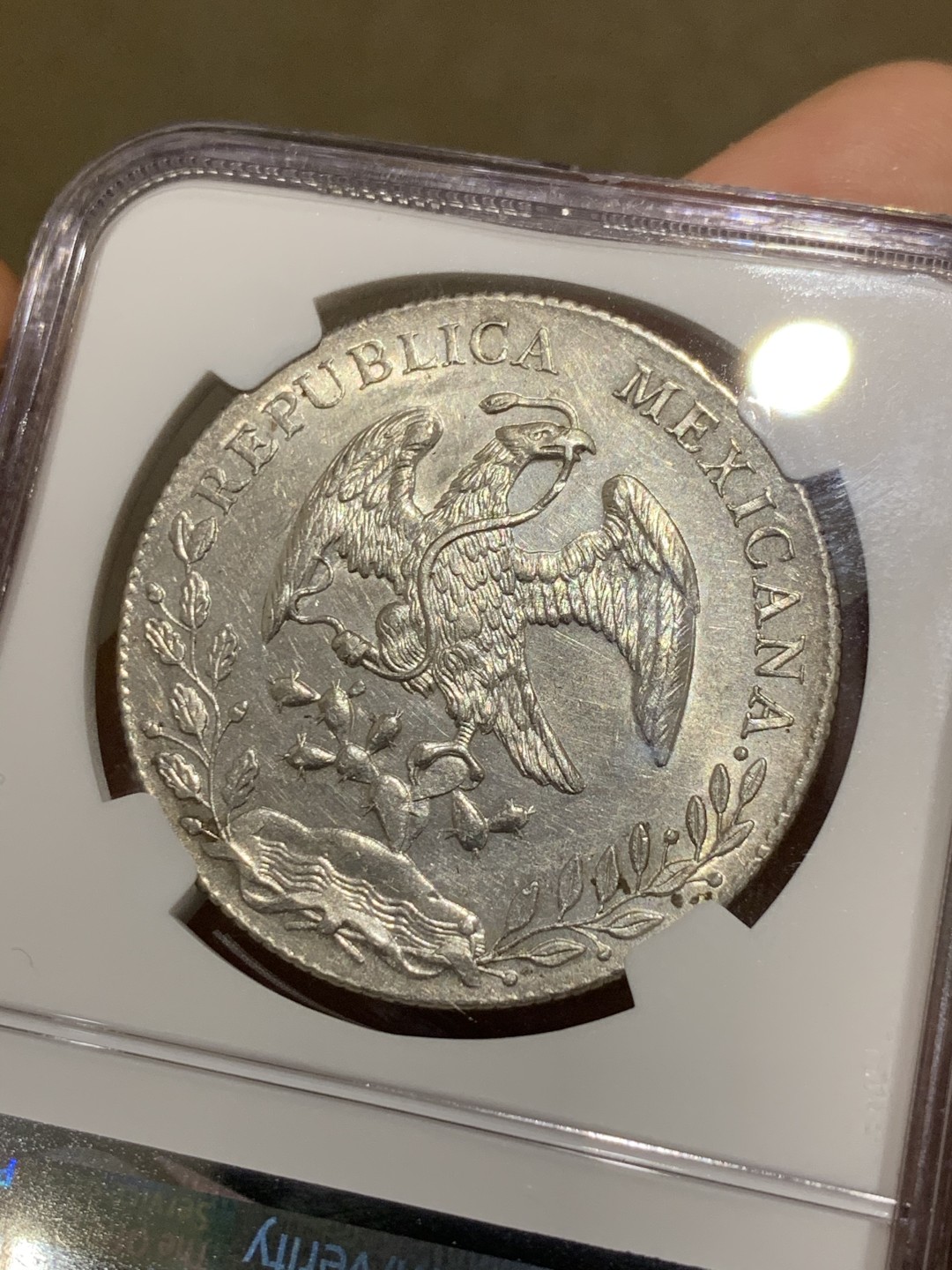 《竞宝斋》第43场-本周日，周一2场连拍（全场顺丰包邮） NGC-MS61 墨西哥 1897年 8R 花边鹰洋 银币 底板光滑 爆羽好品