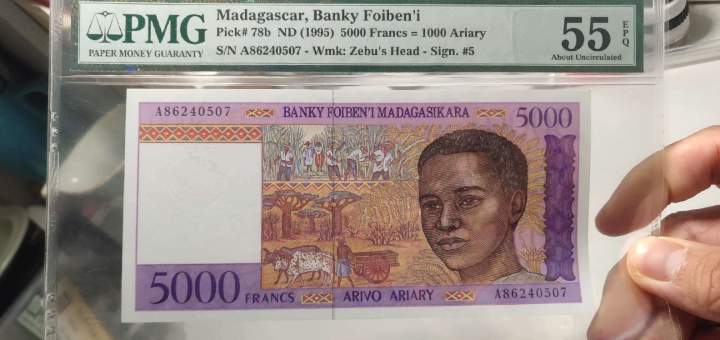 N&C 第十八期： 五花八门畅拍场 1995年马达加斯加5000法郎 pmg55E