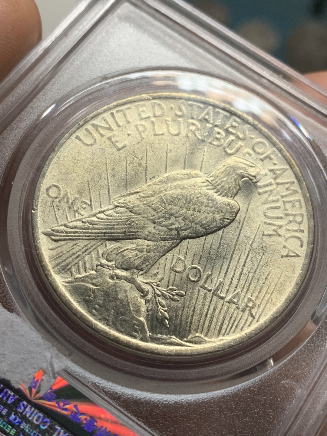 《竞宝斋》第43场-本周日，周一2场连拍（全场顺丰包邮） 公博MS-65  1923年美国和平1美元银币 金色底板 车轮光极强 正面自由女神 背面和平鸽 收藏级 