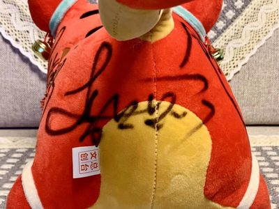 零元拍：2022壬寅年春节联欢晚会主持人撒贝宁、尼格买提、李思思、马凡舒，亲笔签名“生肖虎”！注：拍品只是一只，不是两只）哈哈哈，上次拍到小黄老斧的同学可千万别错过这只红老斧哦！正好可以配成一对。