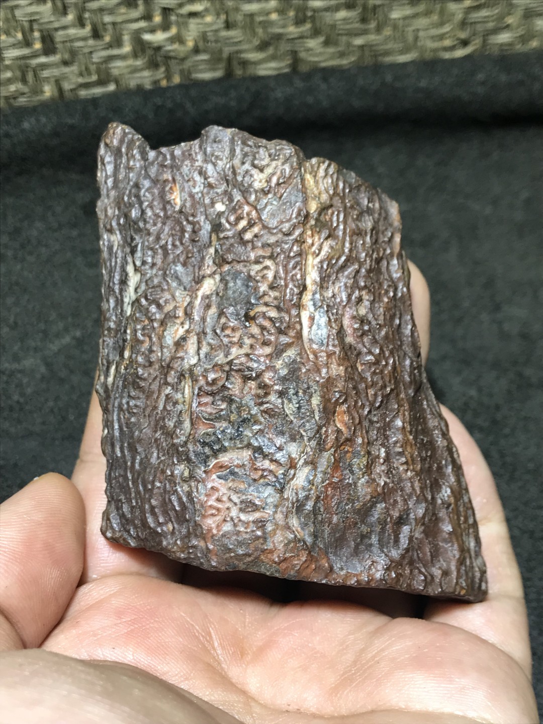 新疆库木塔格硅化铁微磁原石一块，