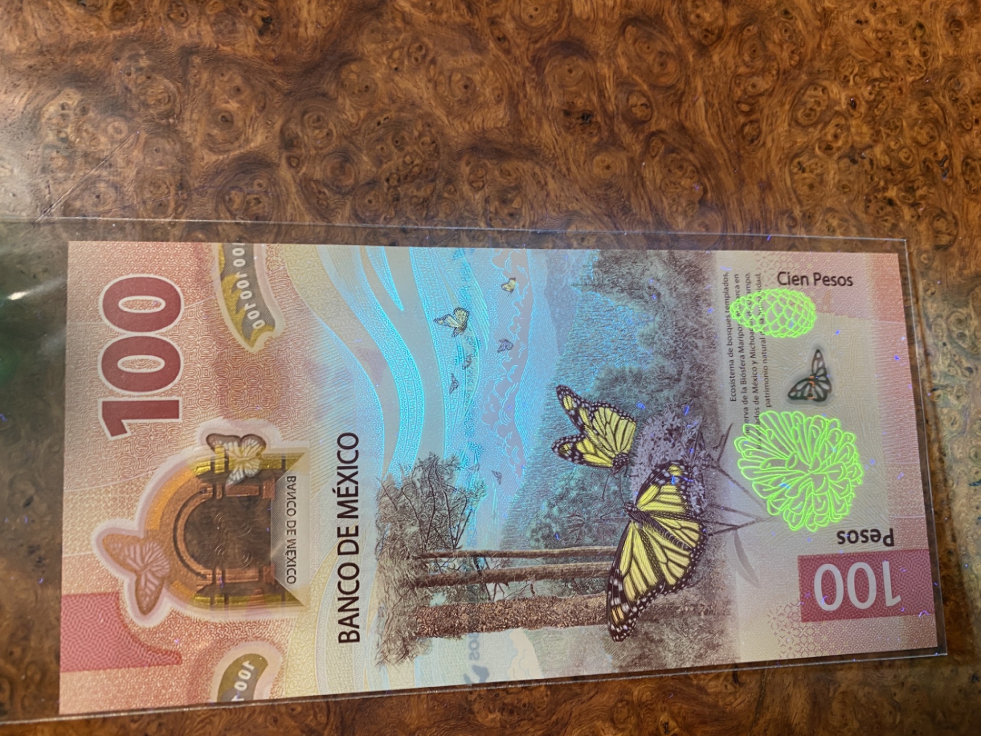 Chase Auction（得物拍卖）第5期 - - 中外纸币、硬币联拍 墨西哥100比索两张！IBNS获奖钞！UNC！