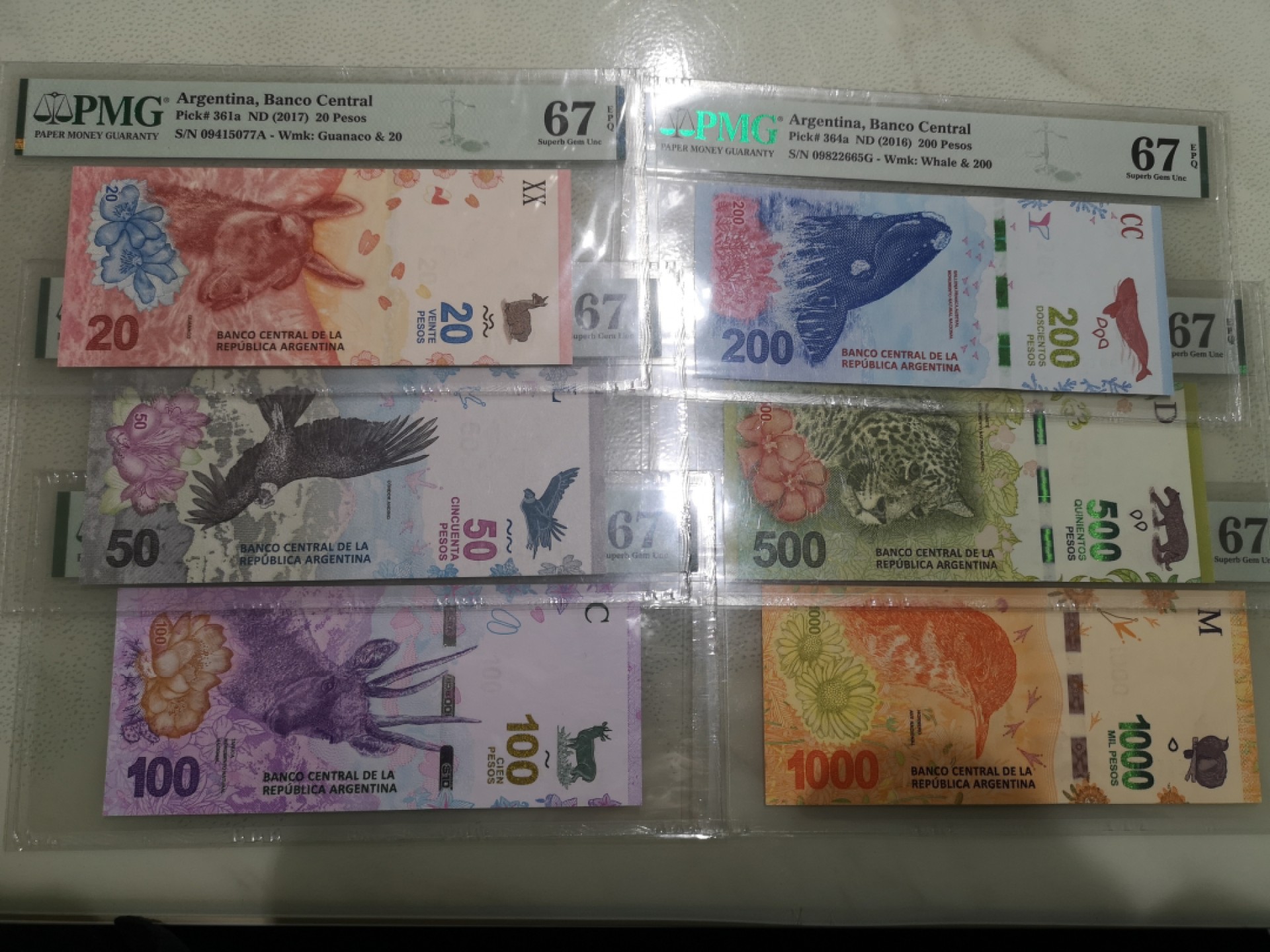 《外钞收藏家》第一百七十三期拍卖 阿根廷20-1000 全套67分 六张