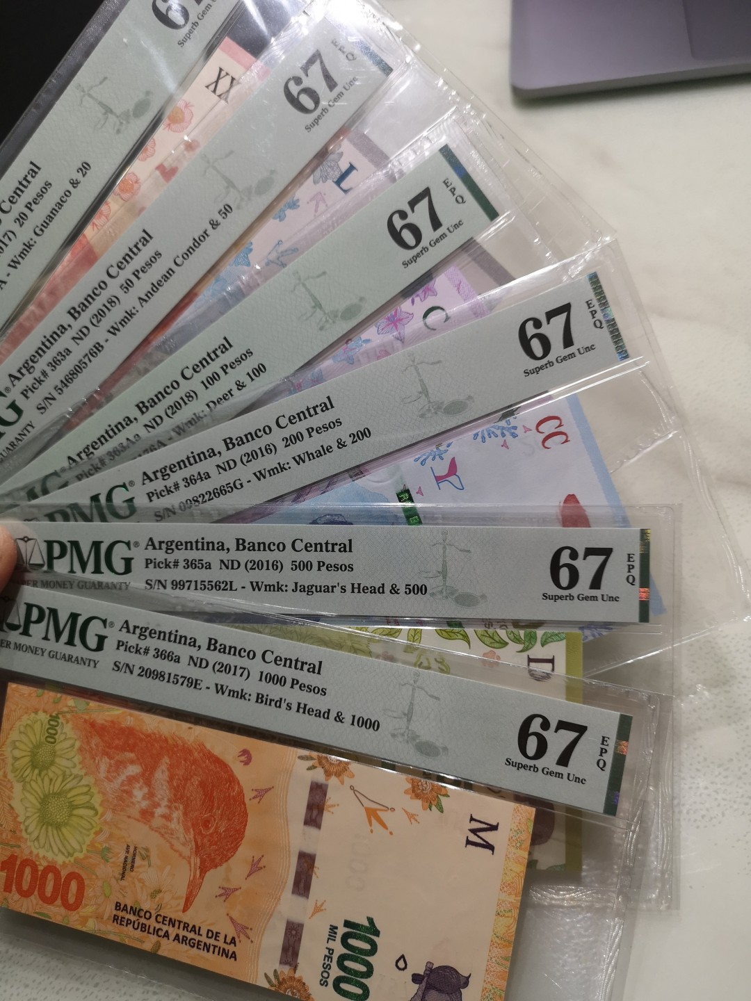 《外钞收藏家》第一百七十三期拍卖 阿根廷20-1000 全套67分 六张