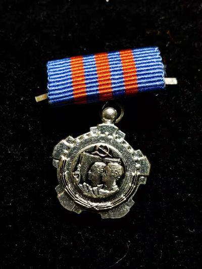 环球拾萃——号角文化小徽章专场拍卖第2期 - 南斯拉夫三级劳动勋章迷你