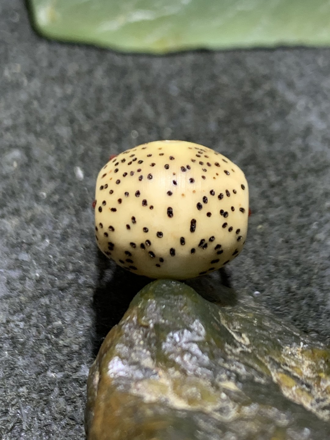 精美星月小佛头三通一套！