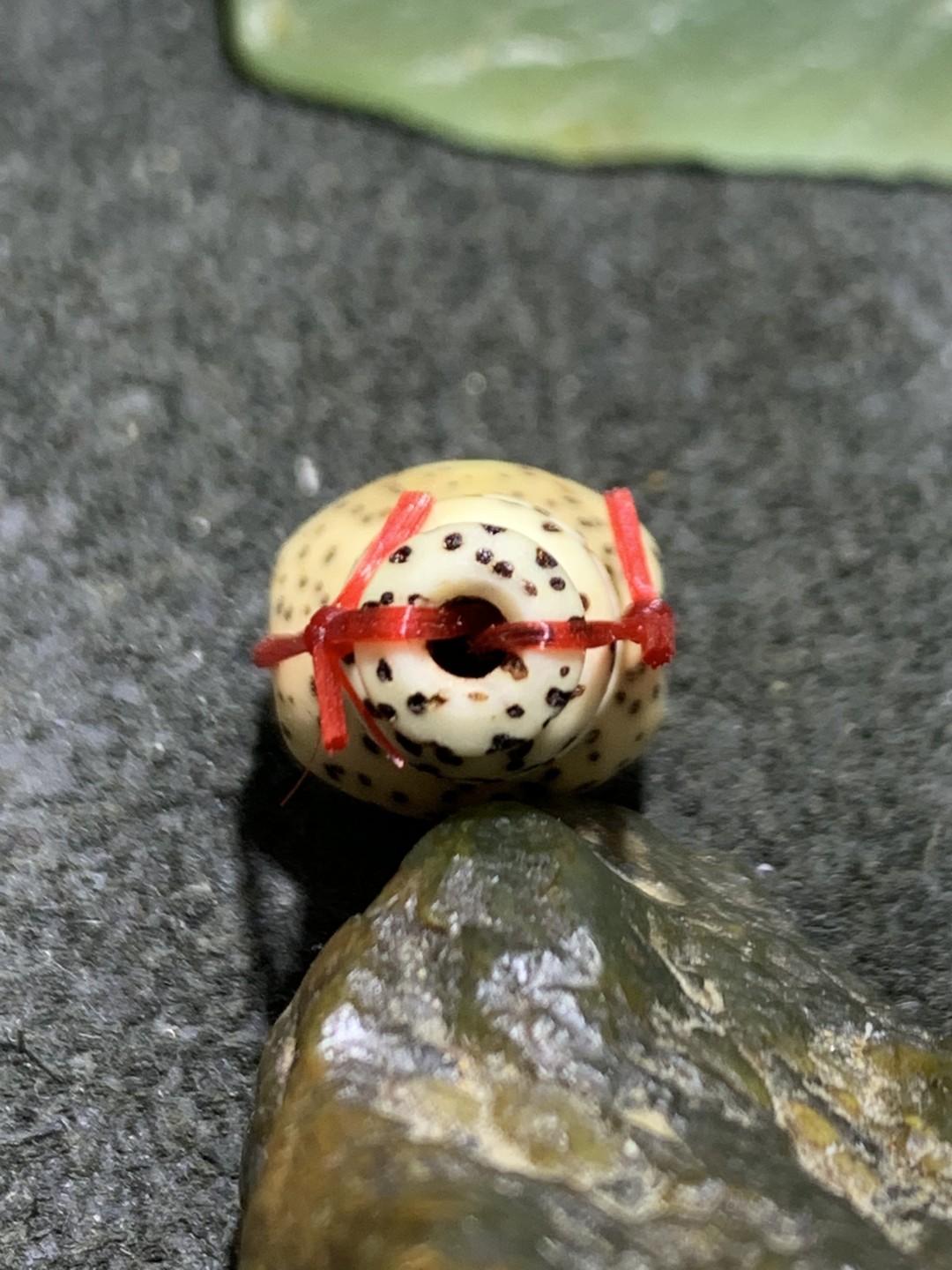 精美星月小佛头三通一套！