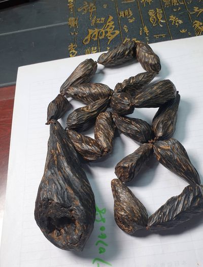 海南虫漏随型大脖挂 - 海南虫漏随型大脖挂
