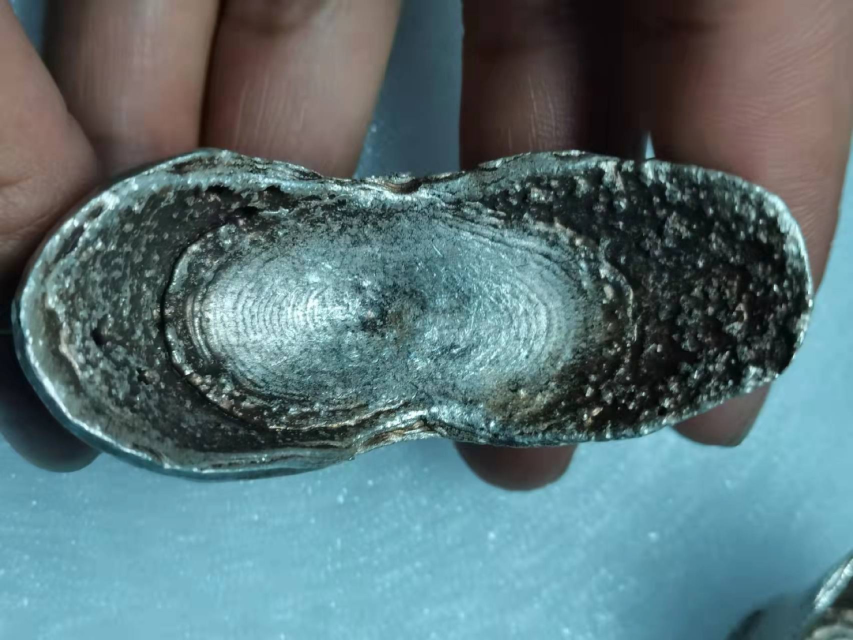 N&C第十九期：老银锭专场 大银锭 金珠挂底 129g