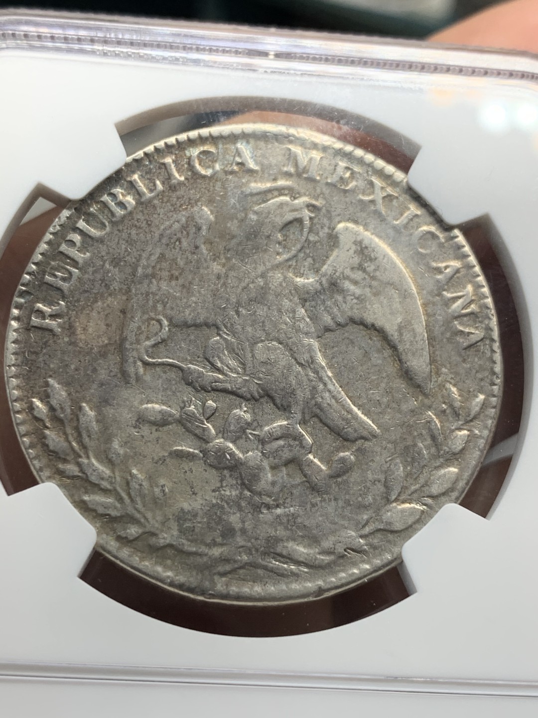 《竞宝斋》第46场-本周日，周一2场连拍（全场顺丰包邮） NGC-XFD  墨西哥花边鹰洋1864 8 里亚尔  奇瓦瓦小厂中早期   原味币 年份稀少