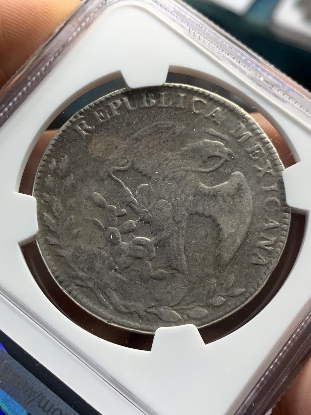 《竞宝斋》第46场-本周日，周一2场连拍（全场顺丰包邮） NGC-XFD  墨西哥花边鹰洋1864 8 里亚尔  奇瓦瓦小厂中早期   原味币 年份稀少