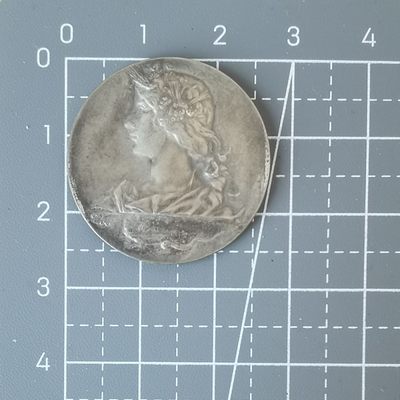 🐦奇货可居🐦 第三场 章牌专场 【清明时节】 - 宠物展览和高档犬竞赛银章
