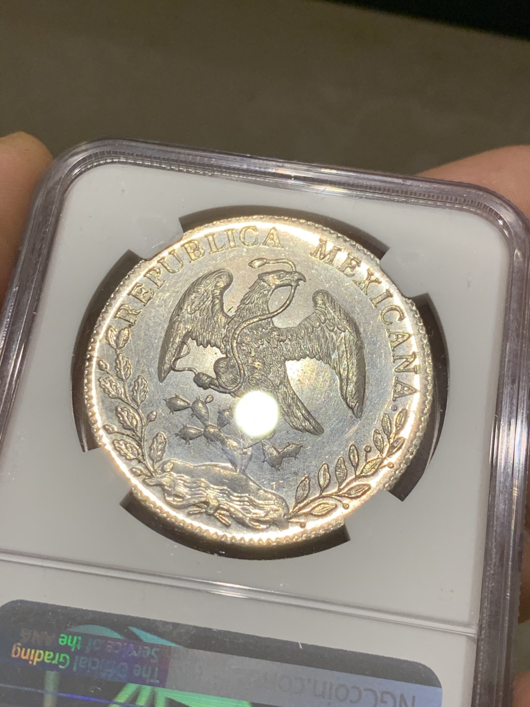 《竞宝斋》第46场-本周日，周一2场连拍（全场顺丰包邮） NGC MS62 墨西哥 1893年 花边鹰洋 底光十足 PL底板