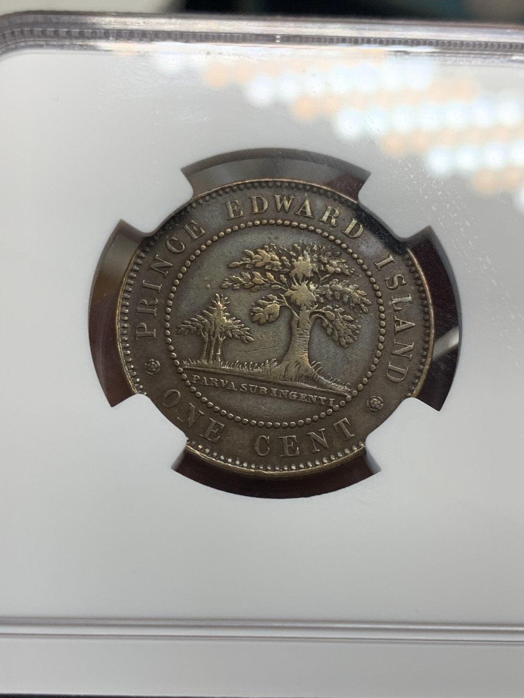 《竞宝斋》第46场-本周日，周一2场连拍（全场顺丰包邮） NGC 评级 少见好品 1871年 加拿大 爱德华王子岛 1C铜币