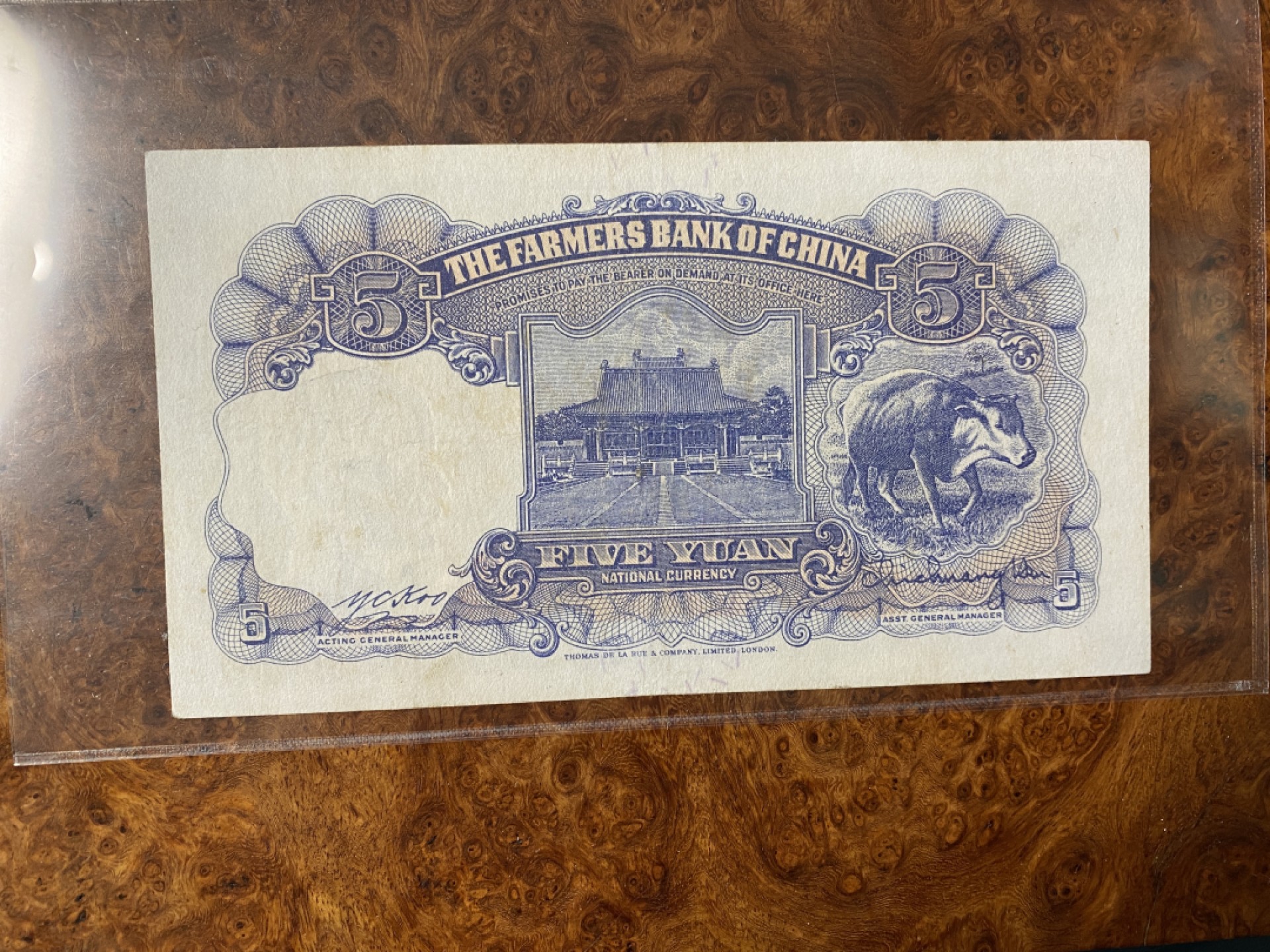 Chase Auction 第6期- - 中外纸币、硬币、民国钞联拍！ 中国农民银行五元，孙像版，品相如图！