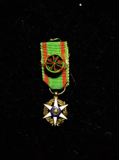 环球拾萃——号角文化小徽章专场拍卖第3期 - 法国军官级农业功勋勋章迷你